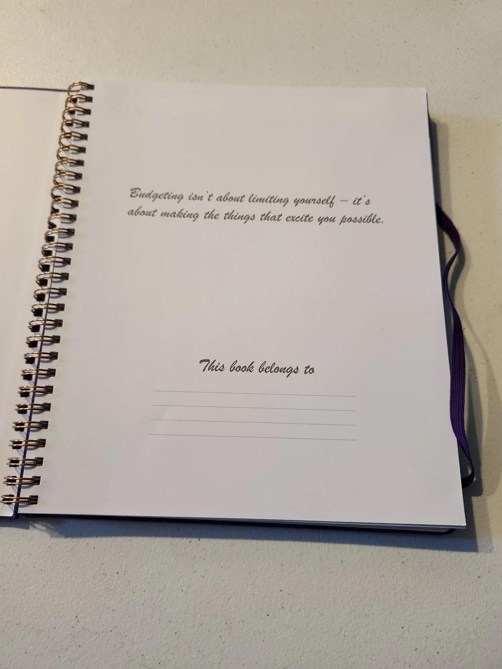 Budget Planner Notebook - Purple